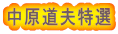 中原道夫特選 
